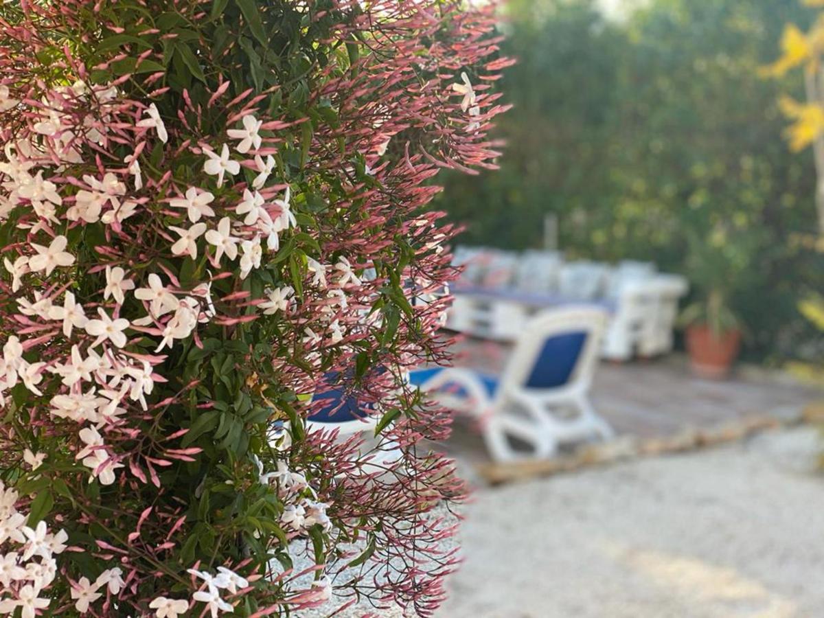 Lovely 2 Bed Apartment In Alcalali Luaran gambar